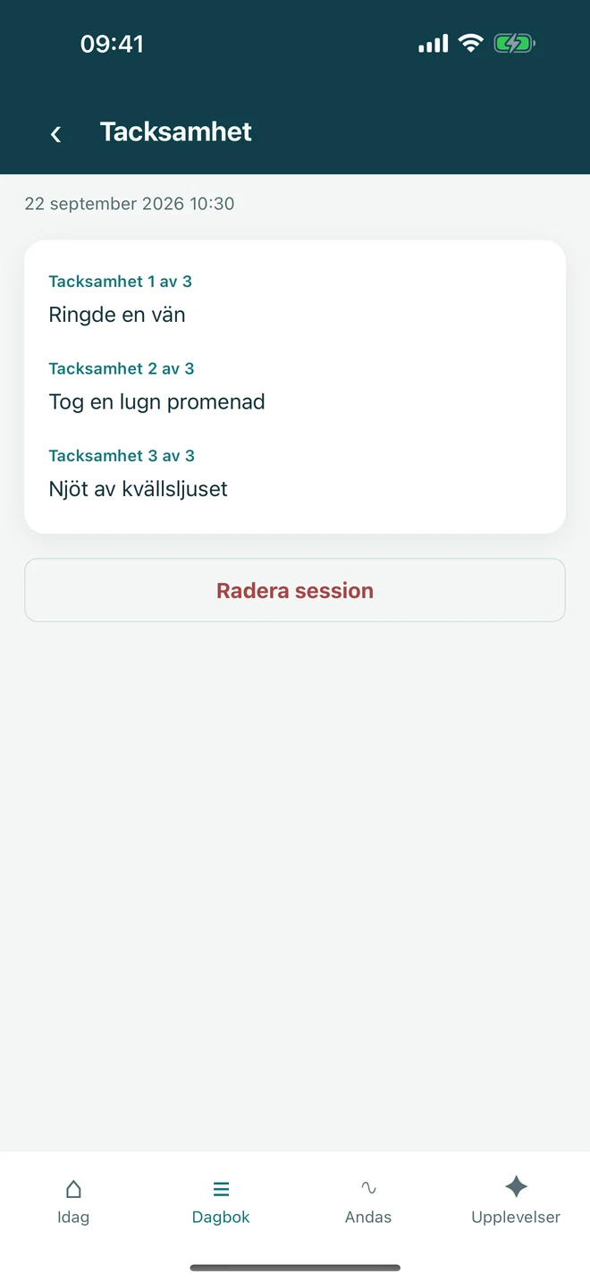 En tacksamhetsövning med en första post och två frivilliga tillägg, utan påtvingad positivitet.